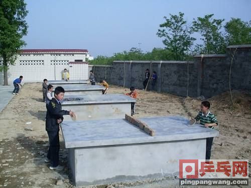 乒乓球超级系列底板推荐,比较硬挺的乒乓球底板推荐