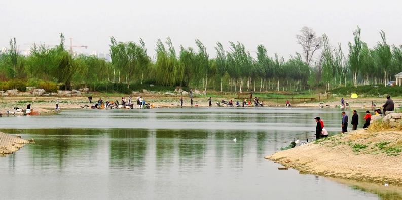 2021到2025房价预测石家庄,石家庄房价近五年房价走势