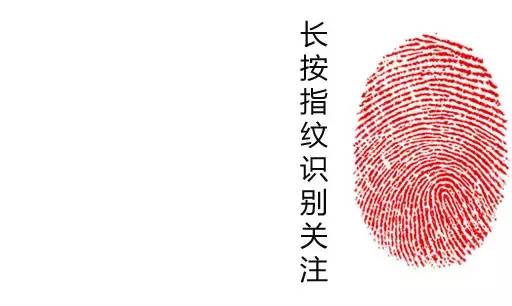 东丽区非法集资诈骗案,蓟州区集资诈骗罪案