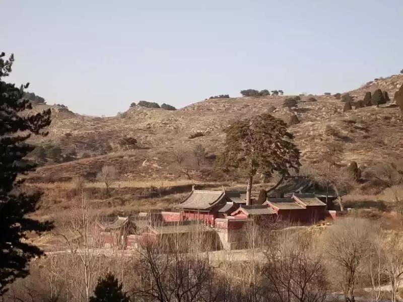 李旭清煤雕,李旭清最新视频