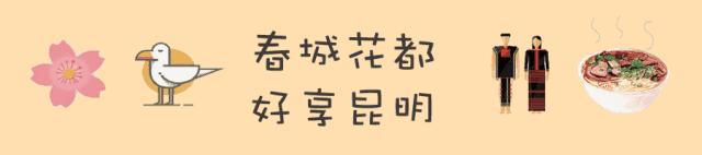 开启昆明新玩法，智慧游花都