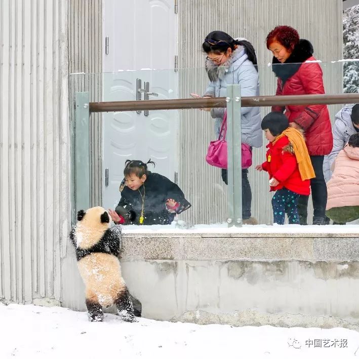 汶川大地震志愿者影集,汶川十年影像