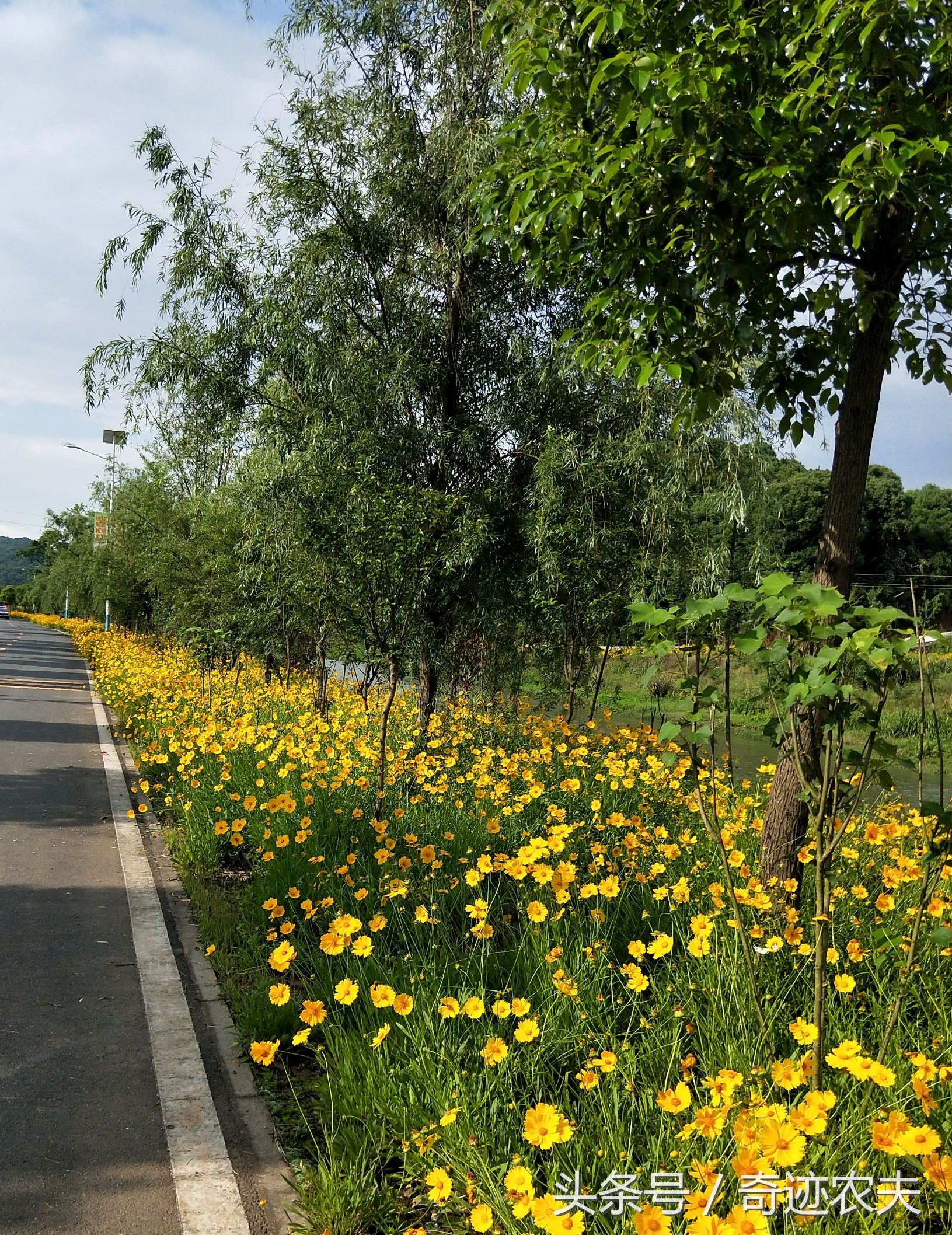 随笔孤独的人,随笔孤独的感悟