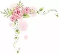 游玩大美沧州,沧州旅游2020