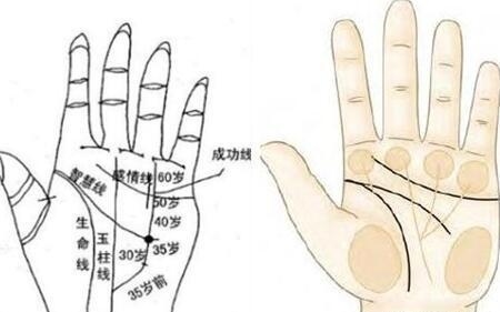 女性右手十字纹和通天纹,五条手纹的命运
