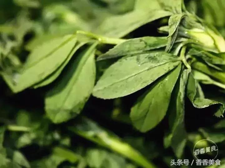 去拔草心仪已久的美食,这次采野菜我们的收获有什么