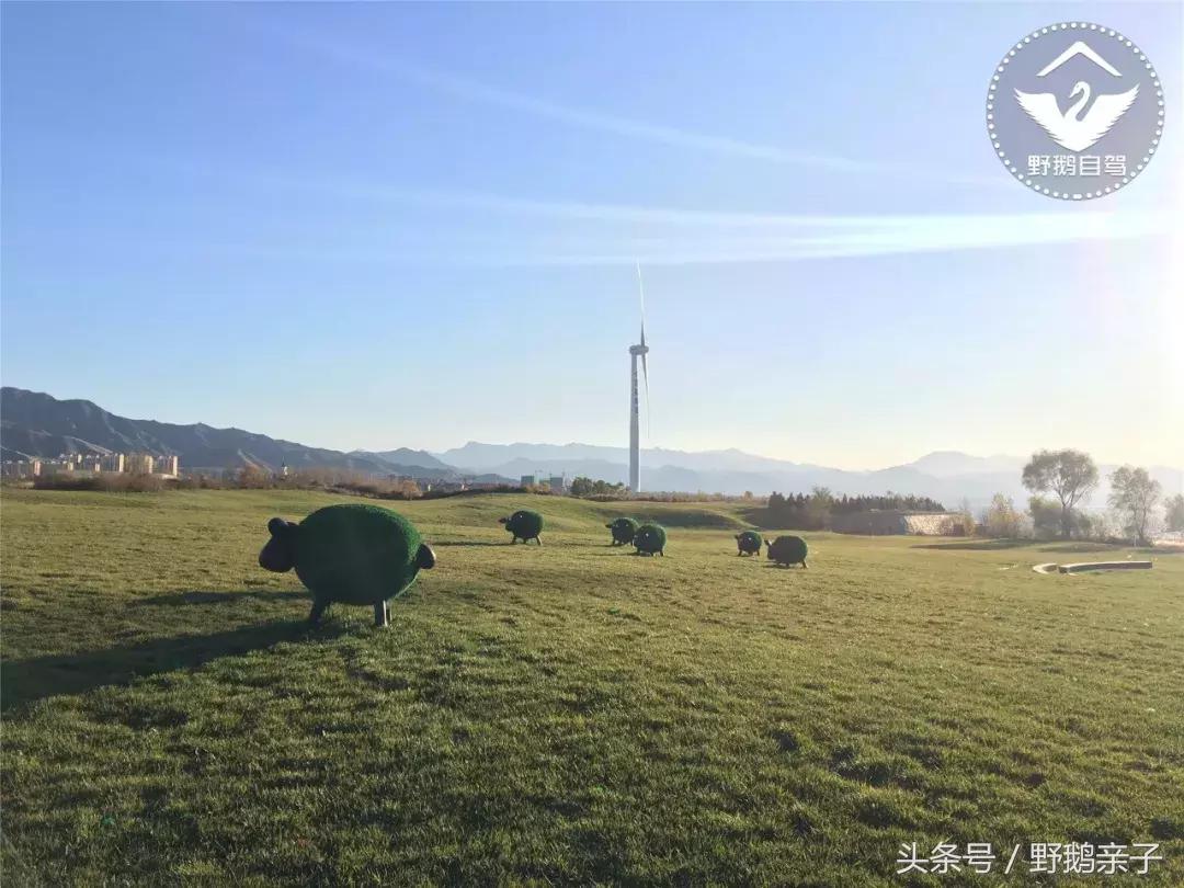 每台大风车造价多少钱,一个大风车造价需要多少钱