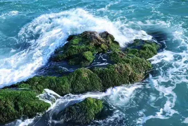 阳江海陵岛北洛秘境度假酒店,阳江海陵岛北洛秘境酒店推荐