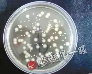 很久没用的枕芯怎么清洗,枕芯脏了枕套拿不下来怎么洗