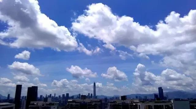 今天深圳有什么新的消息吗,深圳城市改名叫什么