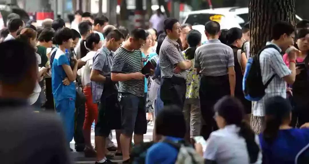 天津和平区小学生学区划分哪片好,2022天津红桥区幼升小学区片