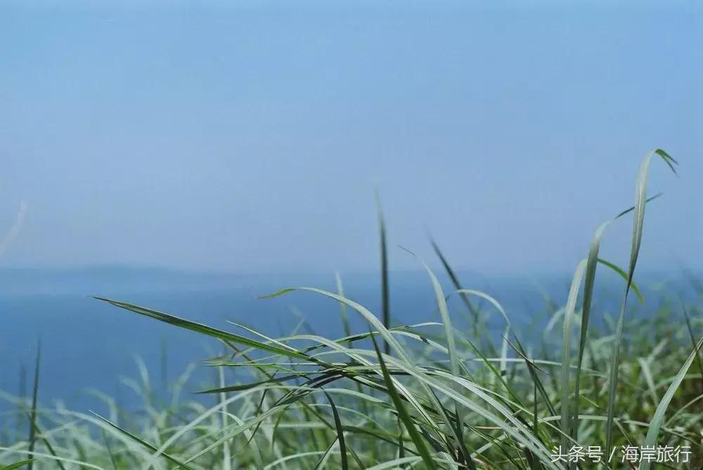 厦门最好的火山岛,厦门最好火山岛