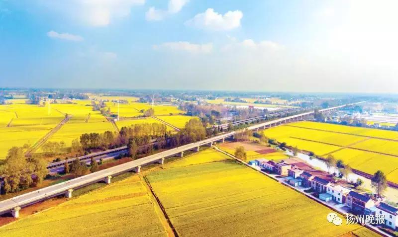 奥特莱斯落户泰州,奥特莱斯要来扬州吗