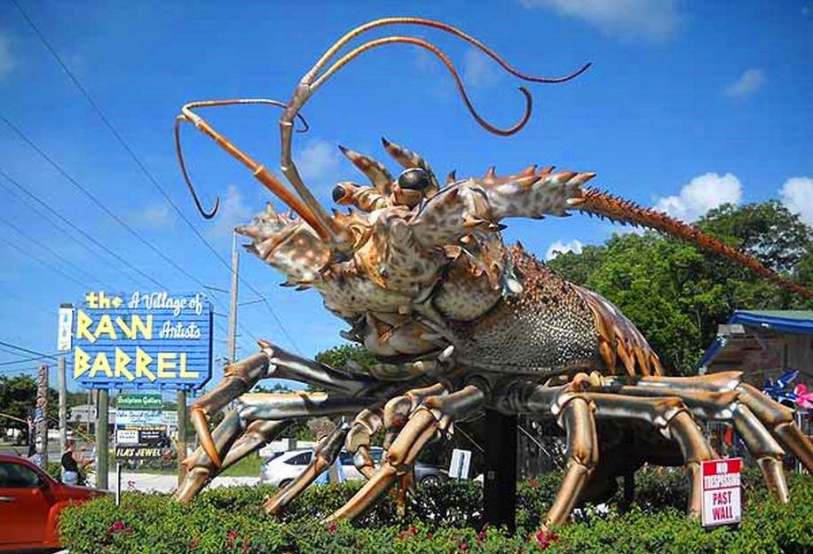 没有最豪，只有更壕！你们都看小龙虾我偏偏关注“龙虾之王”