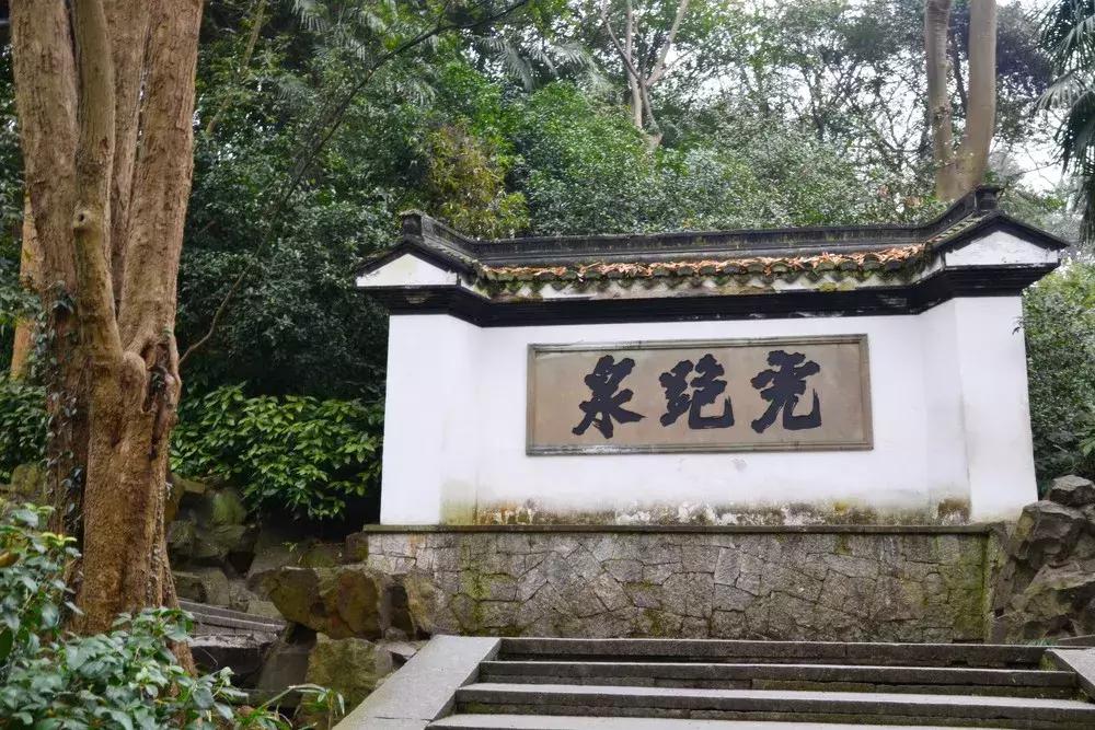 困鹿山皇家古茶园图片,普洱困鹿山皇家古茶园中的茶王树