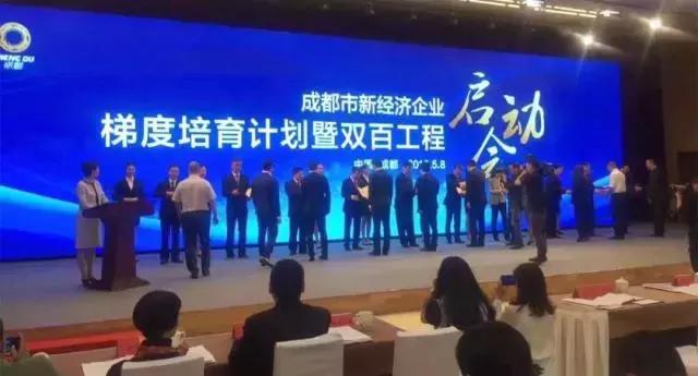 新经济领军者视频,新经济时代的领头羊