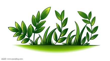 穿美背小妙招,不知道的变美小技巧