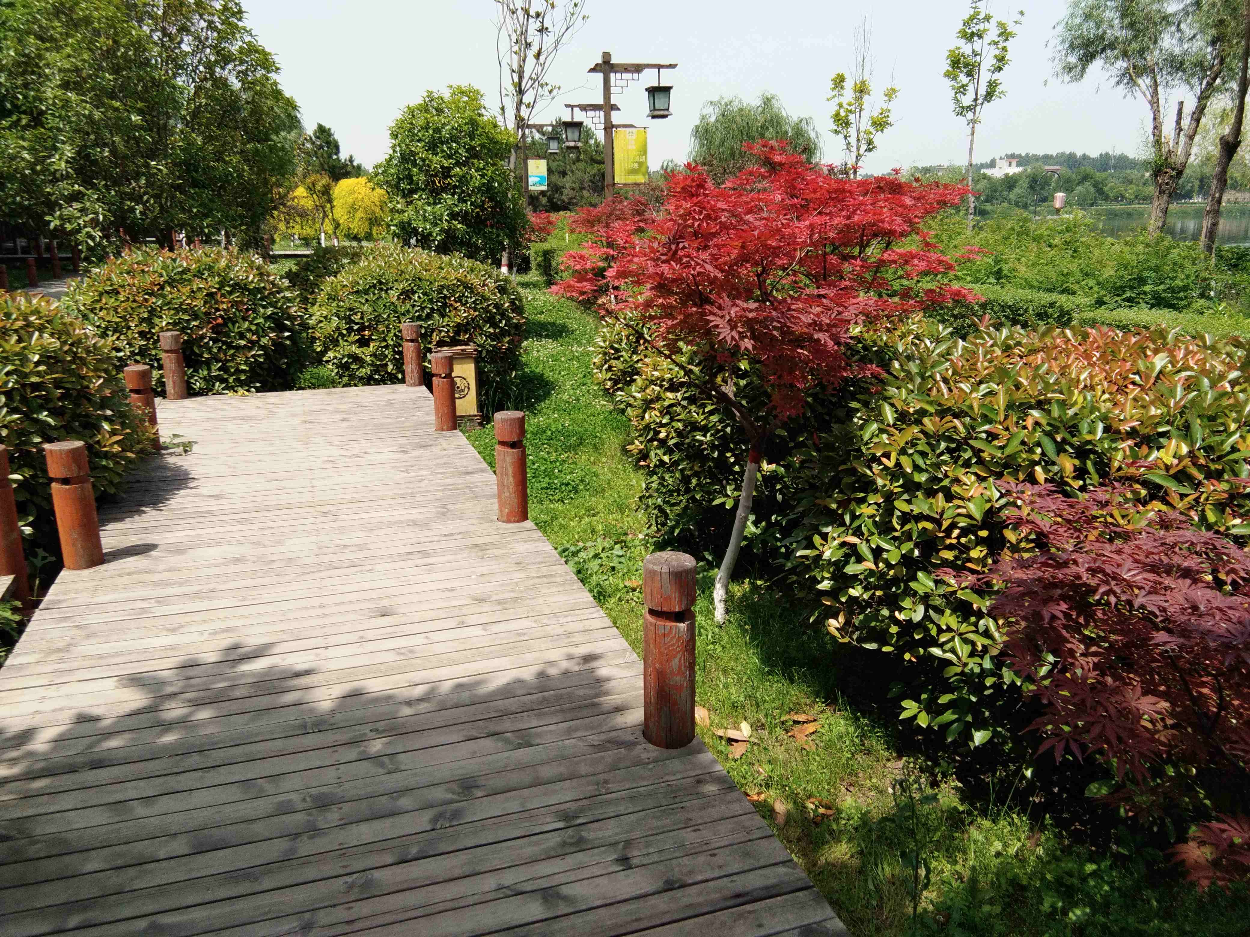 脚踏汉城湖公园全程!感受汉武辉煌!