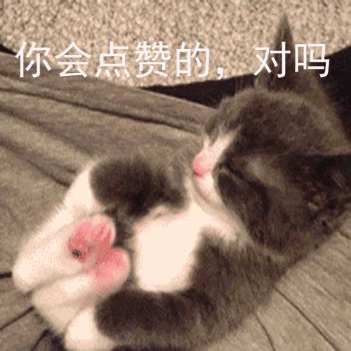 国产缉毒警匪电影湄公河大案,湄公河缉毒警匪电视连续剧