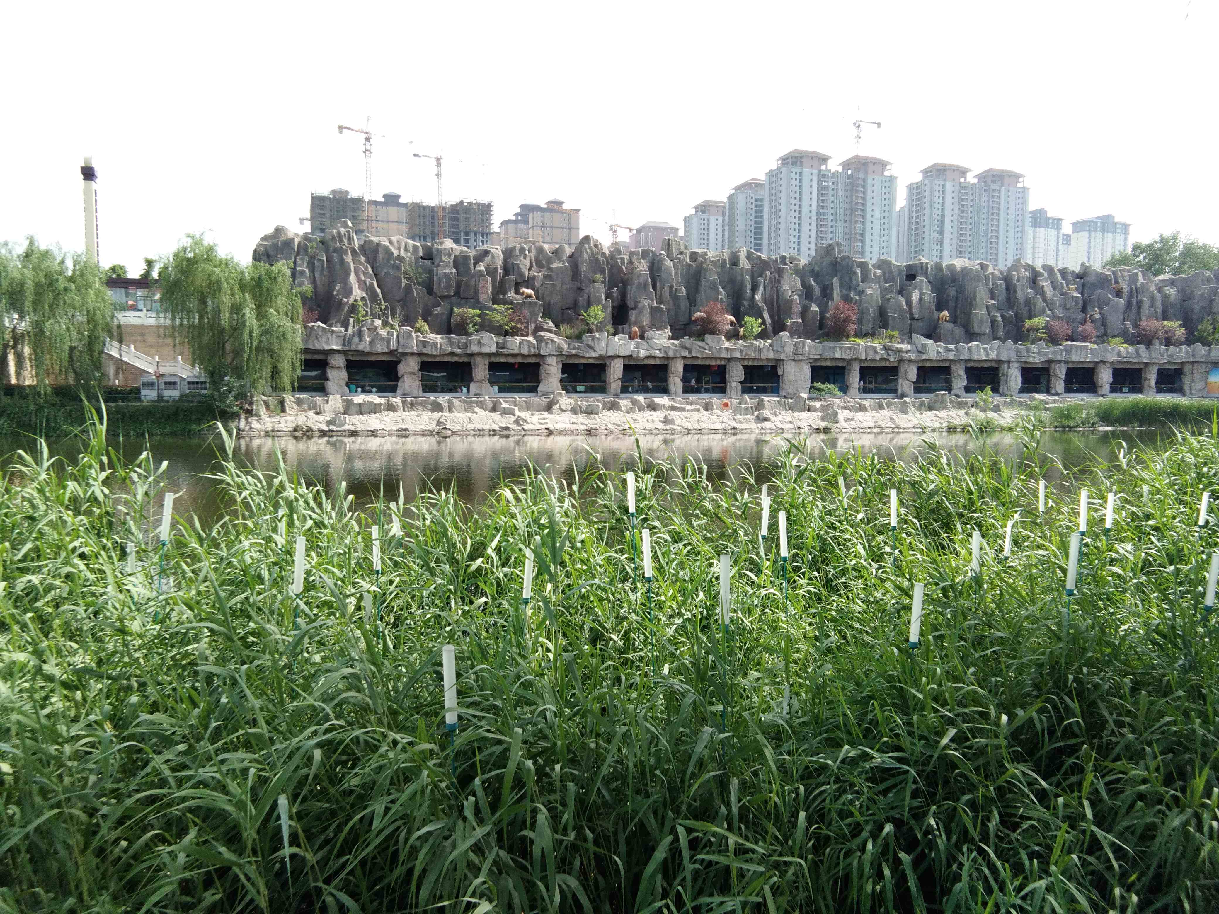 脚踏汉城湖公园全程!感受汉武辉煌!