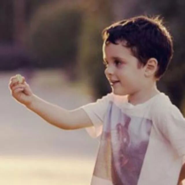 电动车交罚款在手机微信上怎么交,所有交通违法都可以在网上处理