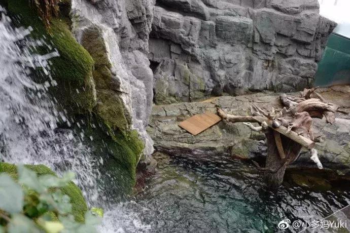 北海道冬季亲子游的景点有哪些,北海道冬天旅游亲子游攻略