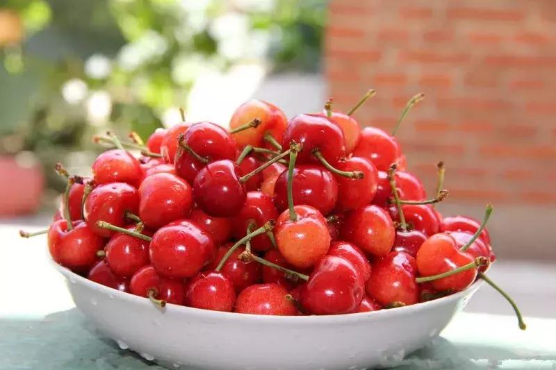 车厘子在国内何时上市,车厘子浙江种出来会结果吗