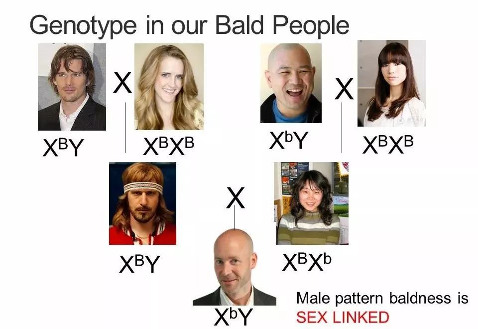 最有效的防脱育发的偏方,全网最靠谱的防脱发方法