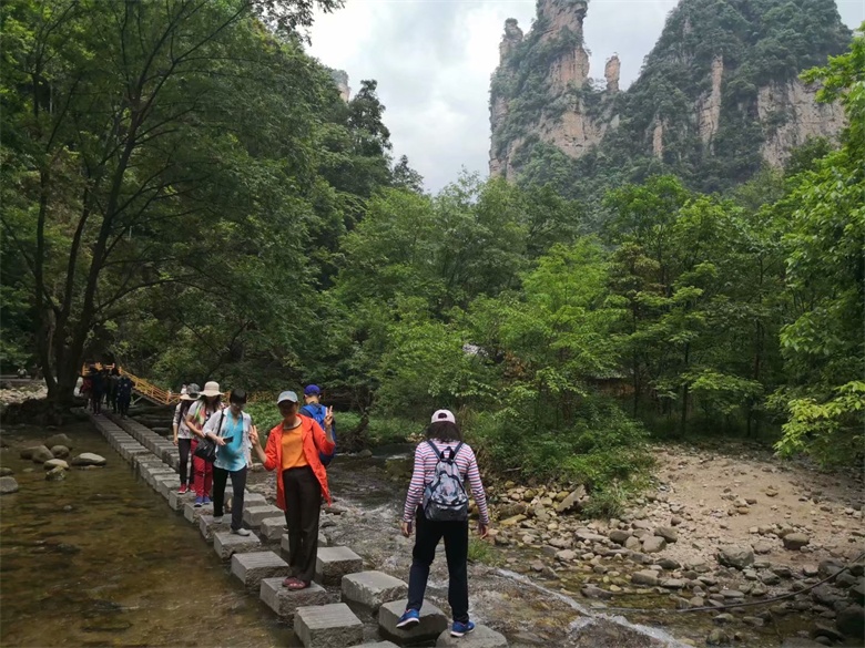 香港人组团游张家界,姐妹相约张家界三日游