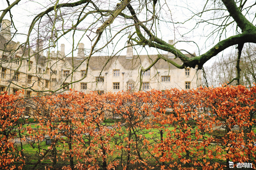 英国剑桥的康桥,英国剑桥大学的康桥