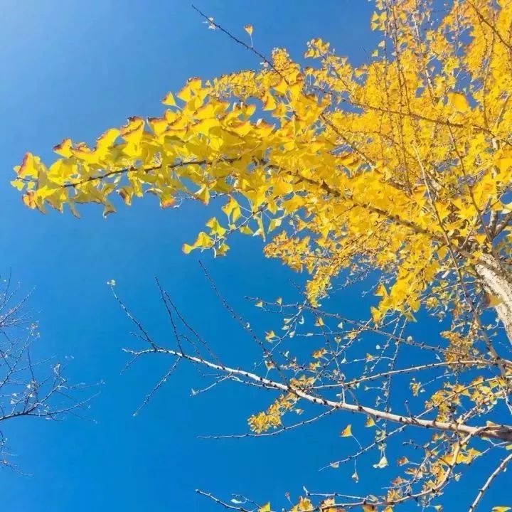 女性长期戴玉,长期戴玉对身体的危害