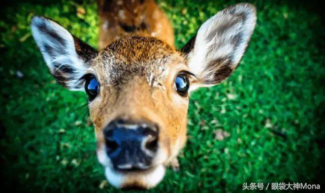 你有新的消息请注意查收,你有新的消息需要查收吗