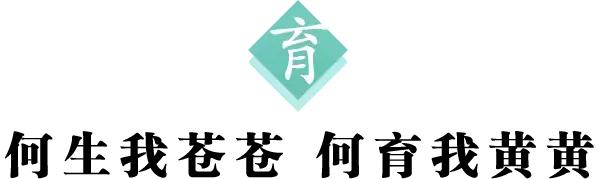 小孩每日一字,每日一字一练