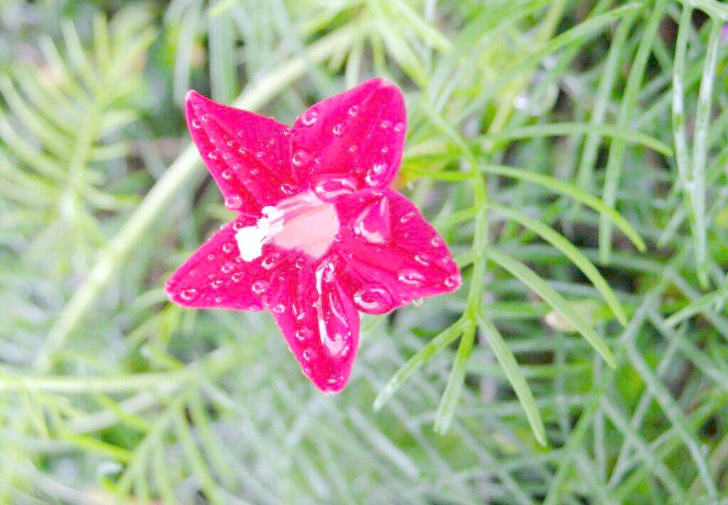 没人帮一切只能靠自己 (一切只能靠自己)