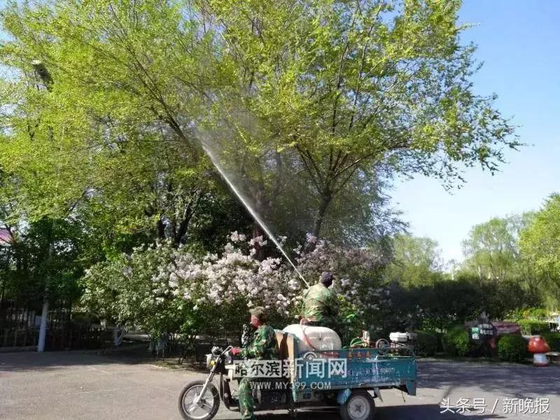 发现虫子该打哪个电话,发现虫子及时打药