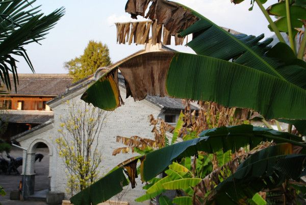 “情不知所起,一往而深”:腾冲旅游吃住行攻略拿走不谢