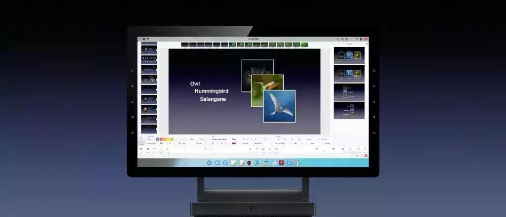 锤子手机发布会tnt名场面,锤子手机tnt发布会