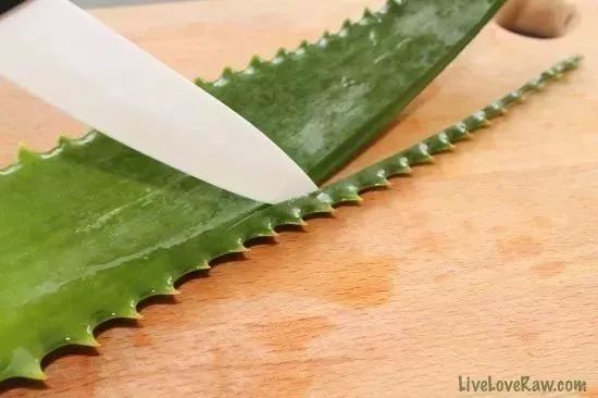 家里养一盆钱兜好吗,家里养一盆花就挺好