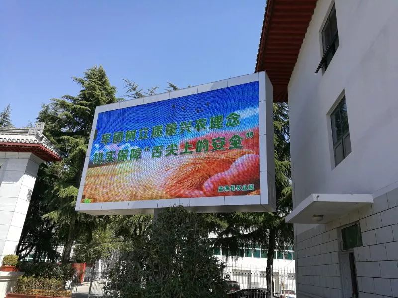 孟津袖珍西瓜多少钱,孟津袖珍西瓜新品种