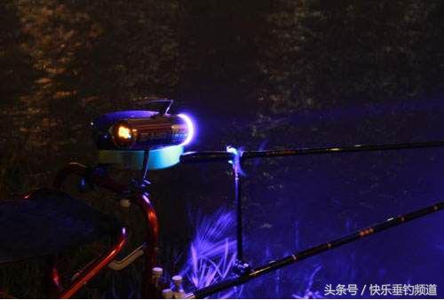 初夏夜钓的最佳方法,初夏夜钓土鲮钓近还是钓远