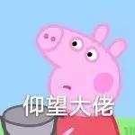 五月爱用物,五月爱用物分享价格