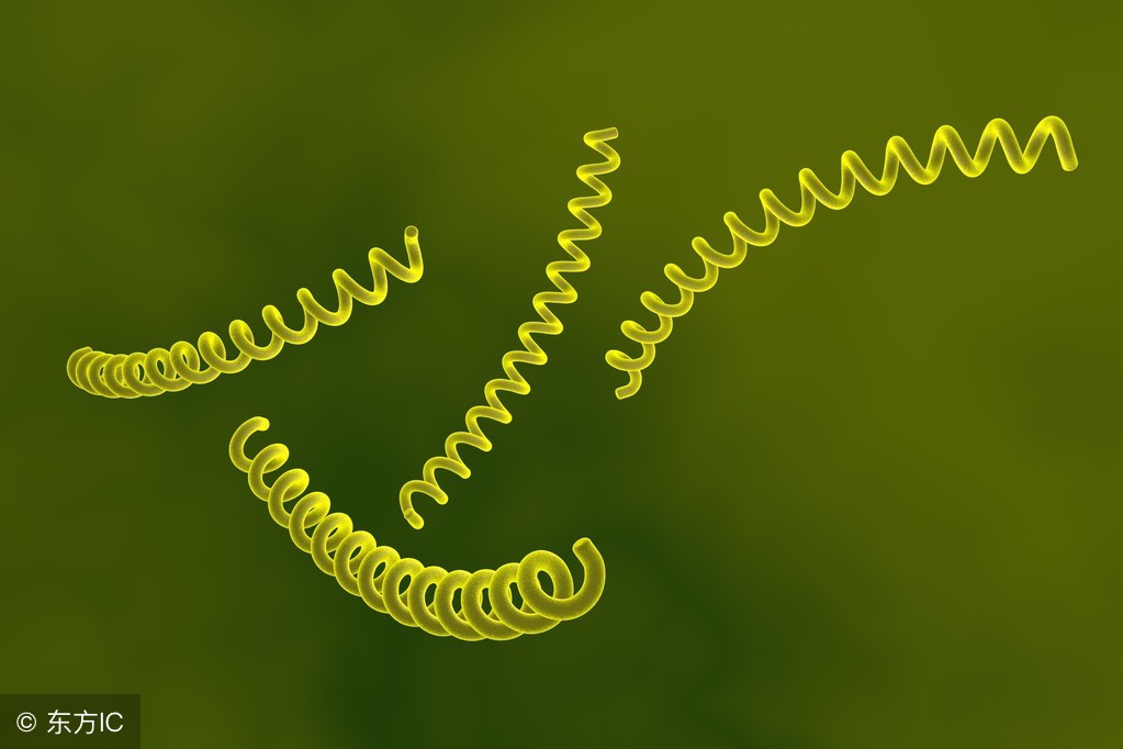 胎传梅毒会自愈吗,花两千块钱去除妊娠纹你愿意吗