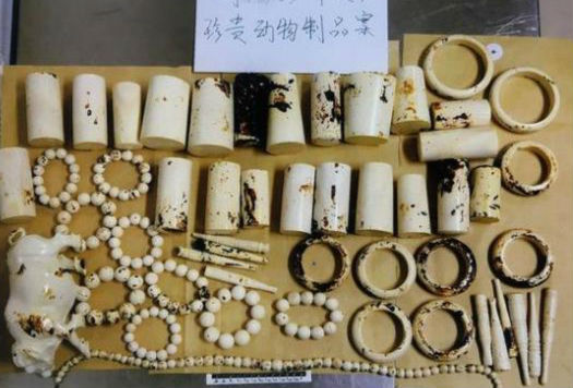 法官来了完整版,法官来了全部视频