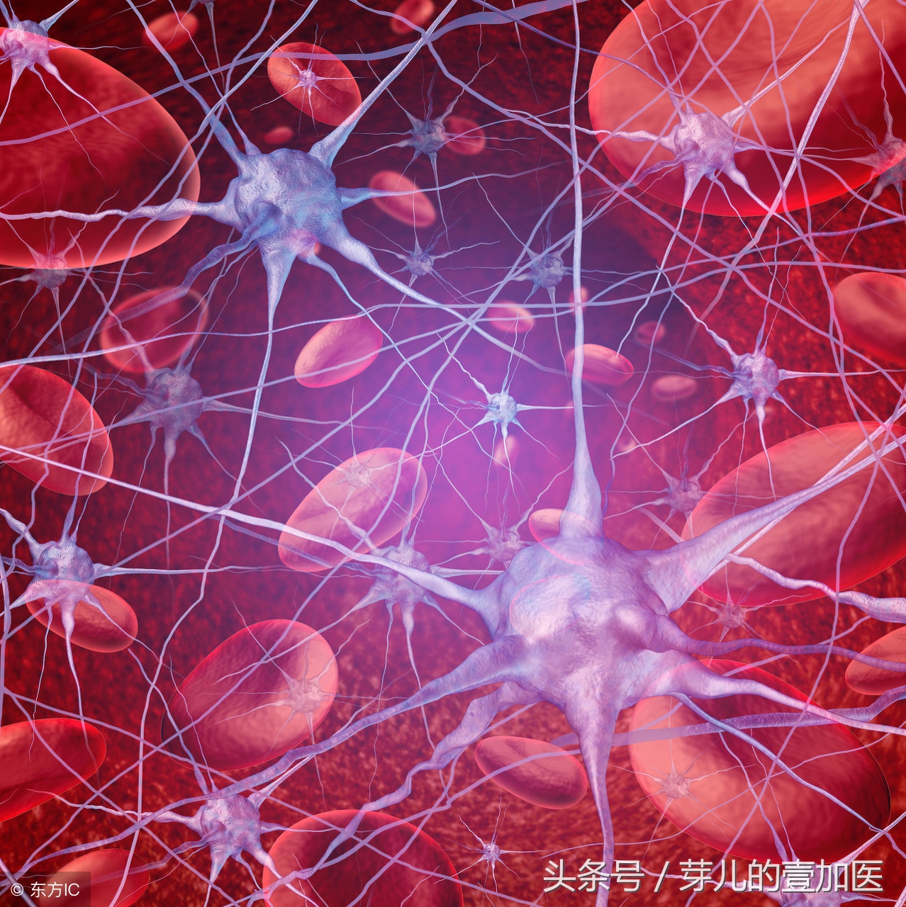 黄帝内经下半身水肿怎么调理,黄帝内经的消肿