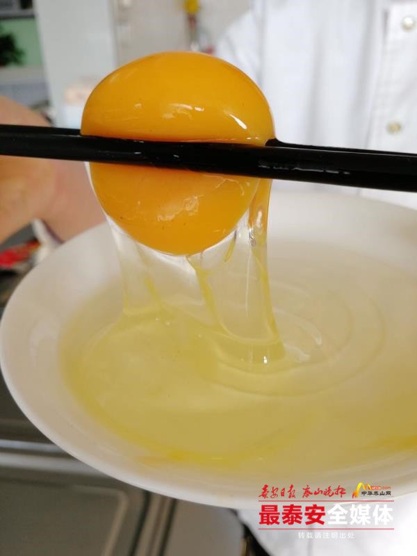 宁阳这位“鸡司令”不简单,用“凤凰蛋”带动一方人致富