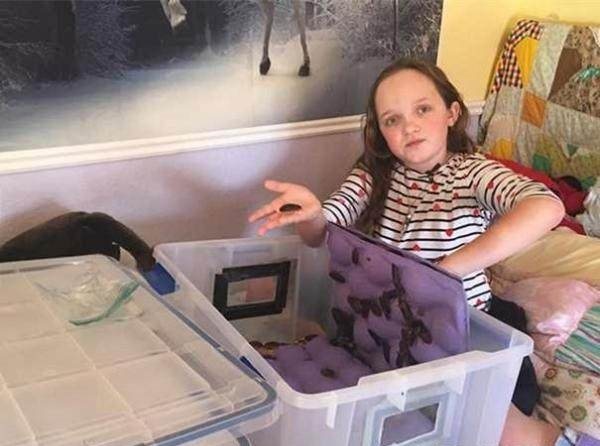 震惊世界的奇葩宠物,外国人养的奇葩宠物