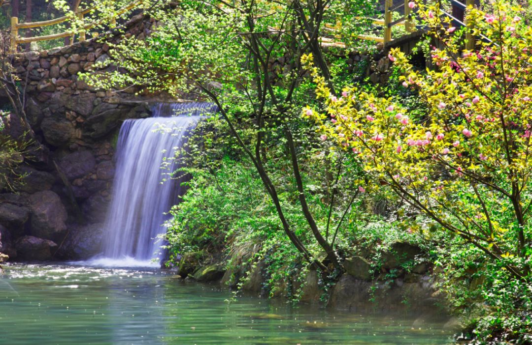 金华免费景点大全,金华景点免费政策