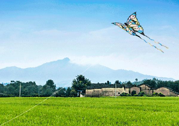 万达广场大足球场,松江万达旁边的草坪