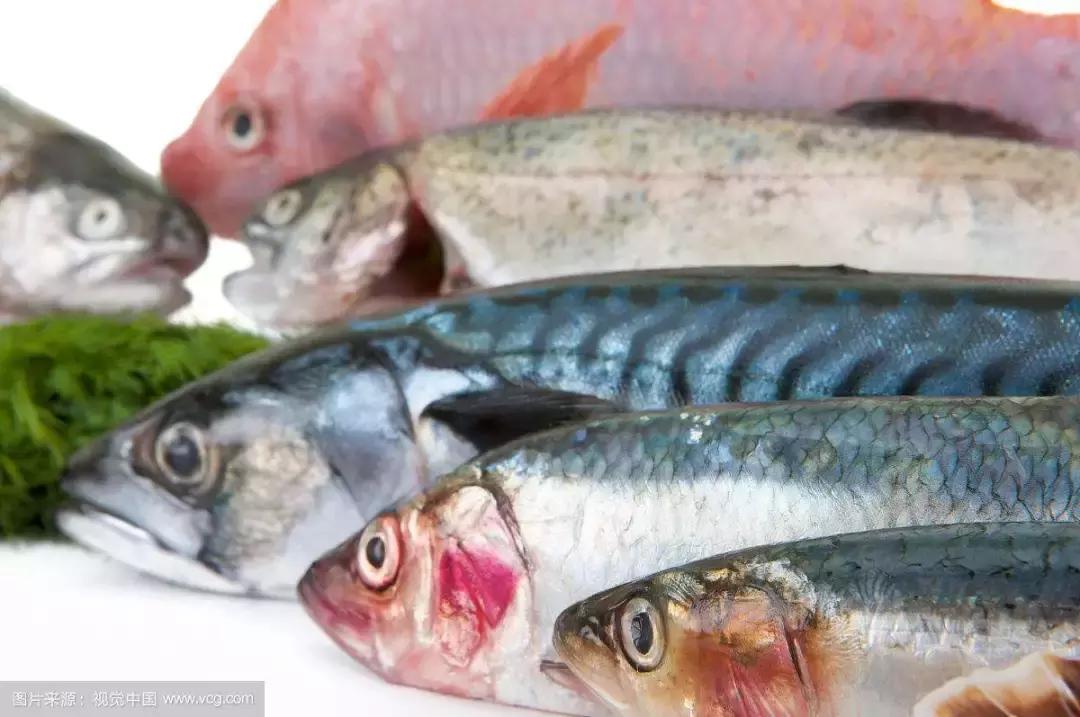 对抗慢性炎症,消除身体慢性炎症的十个方法