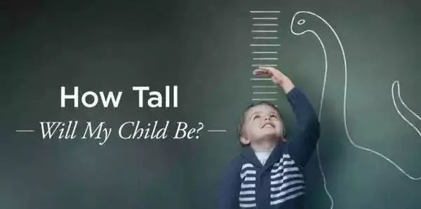 体博会轮滑嘉年华,体博会单杠